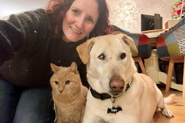 Claire, Peps and Peanut are the best of friends - Animal News Agency