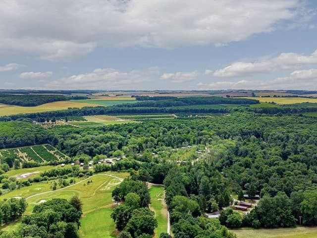 Landal Kenwick Woods is set in abundant greenery as far as the eye can see.
