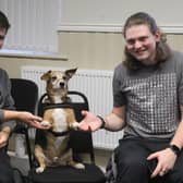 Students enjoy meeting a friendly dog