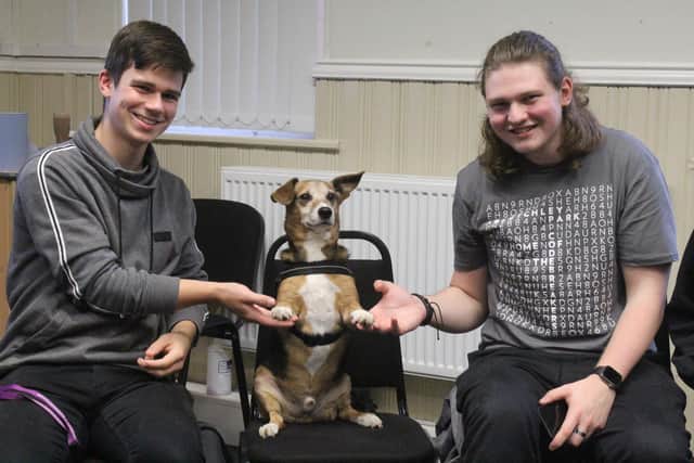 Students enjoy meeting a friendly dog