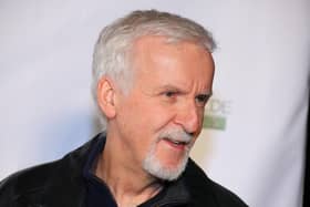 James Cameron backs the plan (Photo by Leon Bennett/Getty Images)