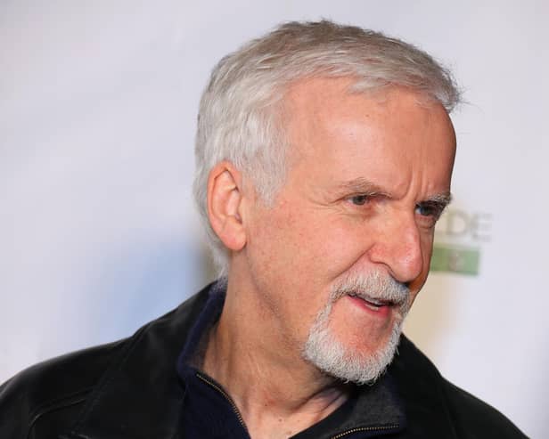 James Cameron backs the plan (Photo by Leon Bennett/Getty Images)