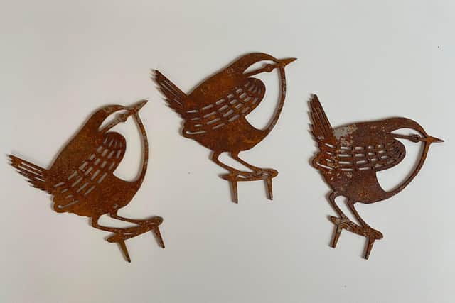 The wrens supplied by Toby Kingdoga Newman