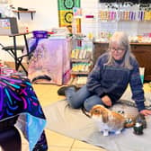 Ayshe with Xylo the rabbit, photo from Animal News Agency