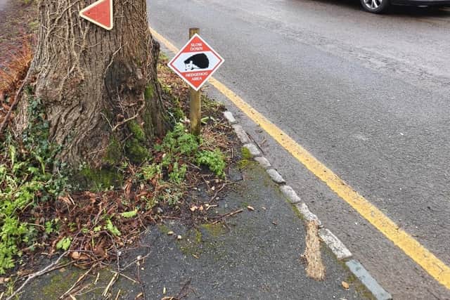 Dobbins Lane. Photo from Charlie Smith/Local Democracy Reporting Service