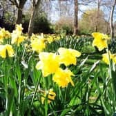 Hot weather is anticipated across Bucks all week