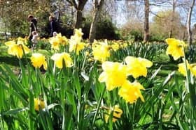 Hot weather is anticipated across Bucks all week