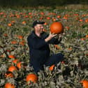 If you’ve planted your own pumpkins in time for the spooky season then now is the time to harvest them