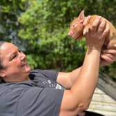 Kew Little Pigs owner Olivia Mikhail with a piglet - Animal News Agency