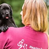 A Hearing Dogs puppy