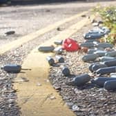 nitrous oxide containers are often seen in parks in Aylesbury, photo from Hertfordshire Constabulary