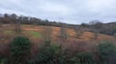 The land in Amersham after it had been cleared Image: Supplied