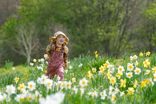 Enchanted Easter Trail at Tumblestone Hollow
