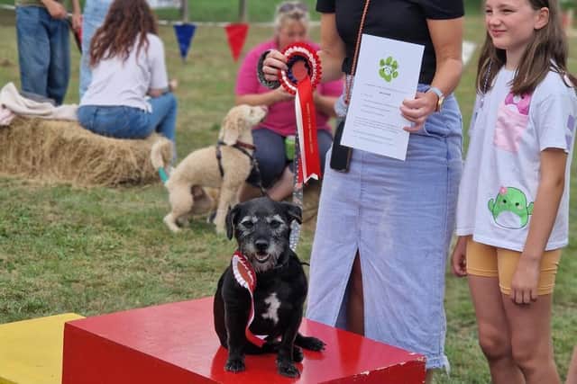 Bruce winner of Best in Show