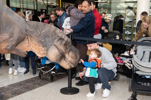 Taking a glimpse of the giant dinosaur. Photo from Derek Pelling