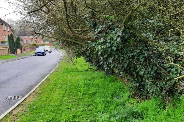 Grass cutting