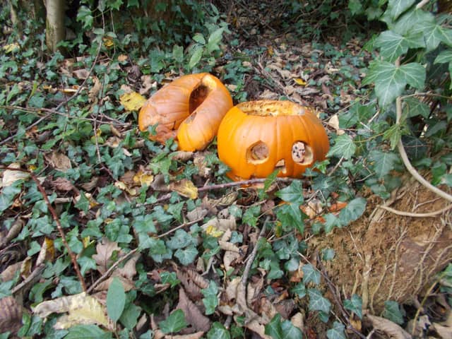 Pumpkin dumping is becoming a more common pastime