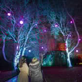 Winter Light Trail at Waddesdon