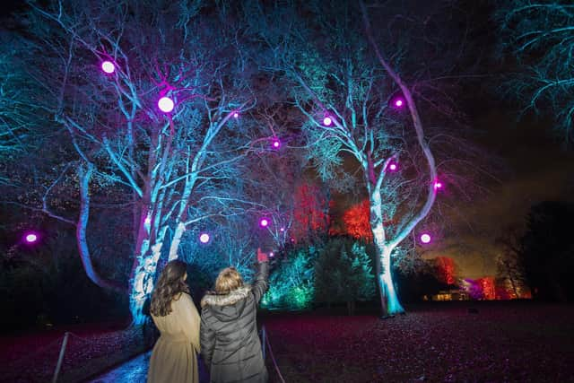 Winter Light Trail at Waddesdon