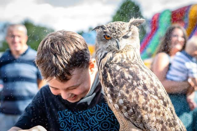 Owl handling © Berkshire Birds of Prey