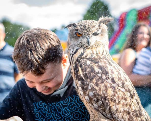 Owl handling © Berkshire Birds of Prey