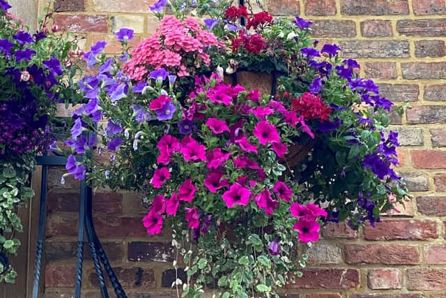 Hanging baskets and containers have a category of their own