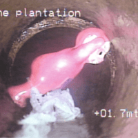From socks to snakes and a Teletubby inflatable: Thames Water reveals the strangest things found blocking its sewers