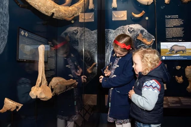 Between 10am and 3pm on Saturday, Discover Bucks Museum has a space themed exhibition including workshops for youngsters. (Photo from recent unrelated display at the museum)