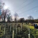 Buckinghamshire Council is inviting residents to join tree-planting events at Meadowcroft Open Space in Aylesbury