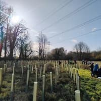 Here’s how you can plant a tree in Aylesbury as part of county’s Tree Mission