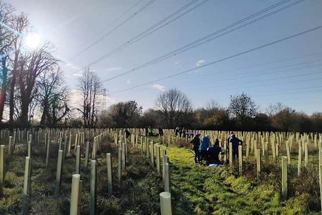 Buckinghamshire Council is inviting residents to join tree-planting events at Meadowcroft Open Space in Aylesbury