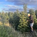 James at the Christmas tree plantation - Animal News Agency 