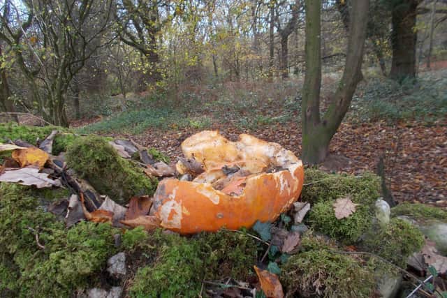 The Woodland Trust is urging residents not to leave their pumpkins for wildlife