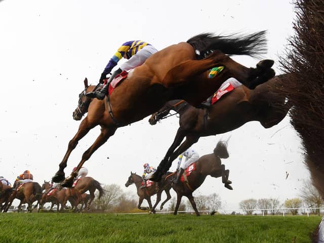 The Cheltenham Festival gets underway this week. Picture: Mike Hewitt/Getty Images