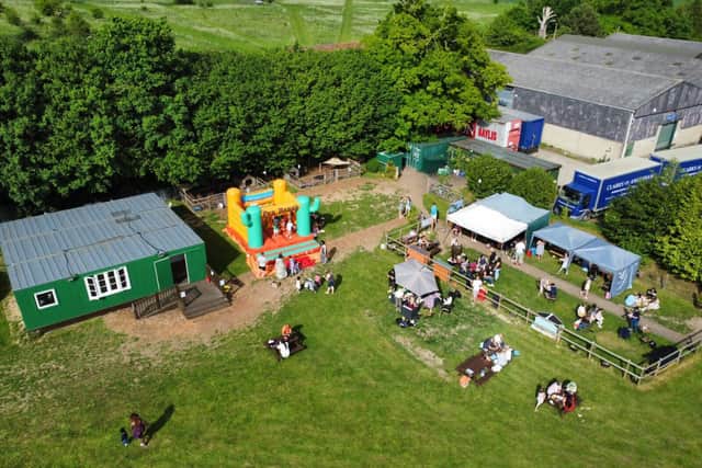 Kew Little Pigs has won two awards in one week - Animal News Agency