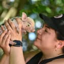 Olivia Mikhail, owner of Kew Little Pigs