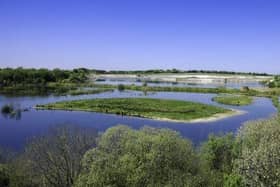 college lake