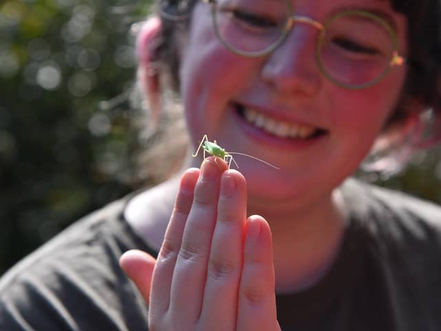 Field Studies Council plays crucial role in connecting young people with nature