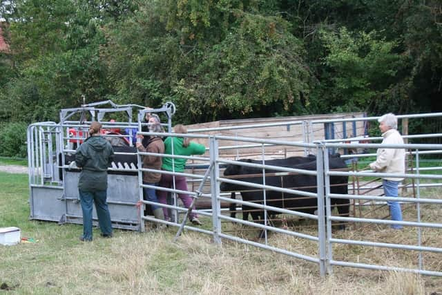 Members of the grazing team in Brill, photo from Roger Stone