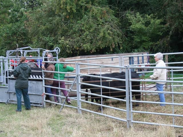 Members of the grazing team in Brill, photo from Roger Stone