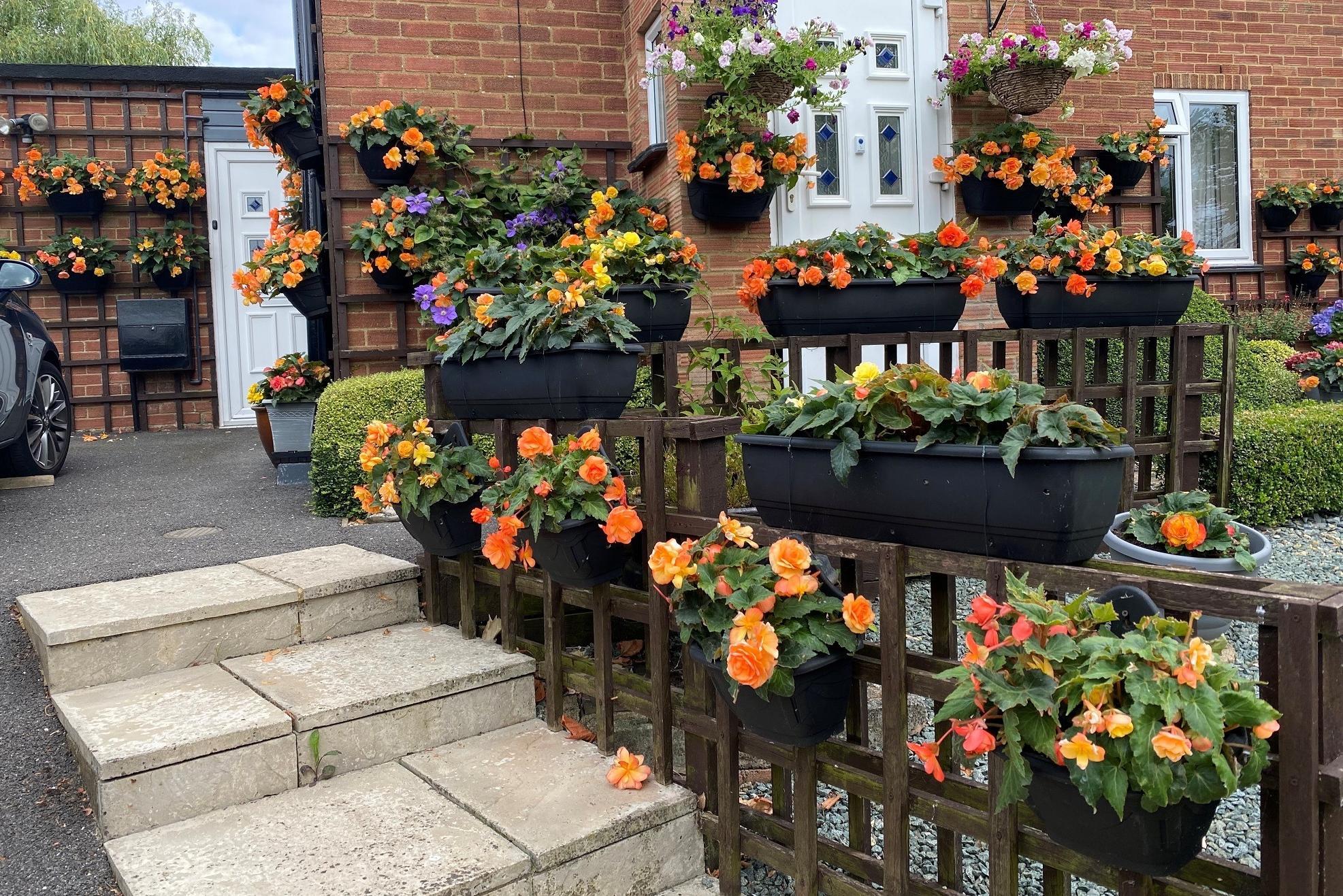 Gorgeous gardens and winning window boxes invited to enter Buckingham In Bloom - Vimarsana News