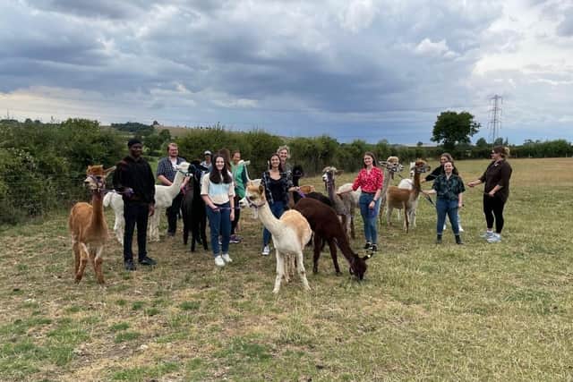 Fun on the farm for University of Buckingham students
