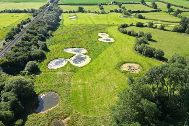An aerial view of Chearsley Wetland in July 2024.