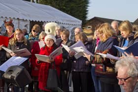 Hearing Dogs for Deaf people Christmas Market