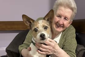 Rescue Dog brings happiness to care home residents