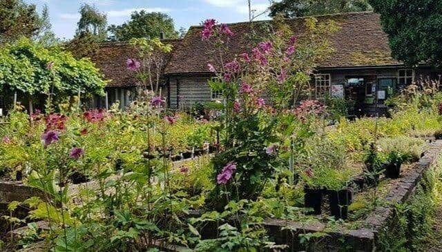 Little Heath petition: Cafe and nursery have been forced to close.