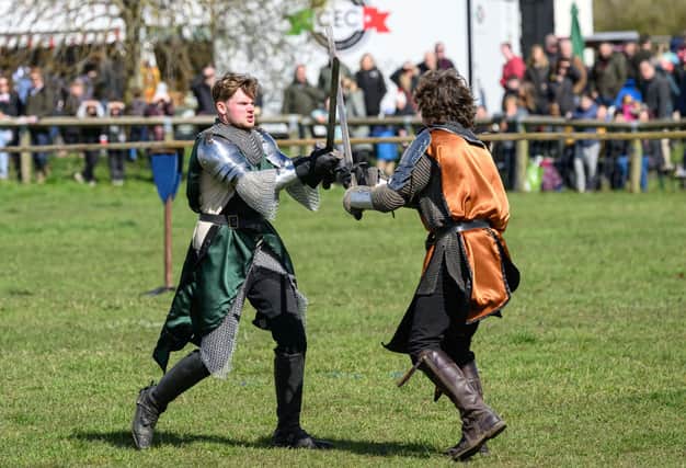 A sword fight at this year's fair, photo from Amanda Hawes