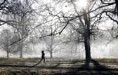 A jogger runs to exercise in a frost-covered Hyde Park in London. 