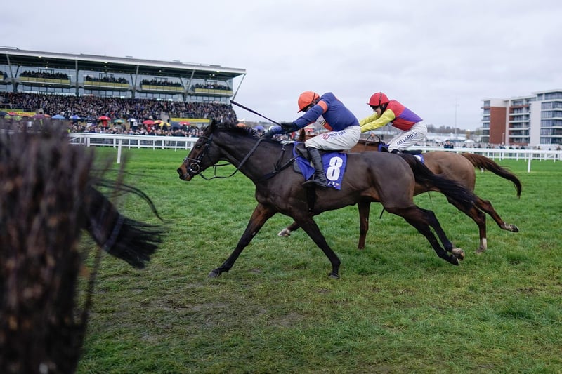 Including his five runs in France as a youngster, LE MILOS (16/1) has amassed 23 starts in his career, but he's been in the form of his life since switching to the top yard of Dan Skelton six months ago. The highlight was a gritty victory in the Coral Gold Cup (formerly the Hennessy) at Newbury in November, since when his sole target has been the National. He's still well handicapped, looks sure to stay the marathon trip and although touched off on his prep run at Kelso five weeks ago, Skelton, who is a master at preparing his charges for big races, was delighted with the performance.