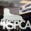 The RSPCA logo, Photo from PA Images/ Sam Dempsey